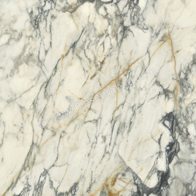  Del Conca Premiere Paonazzo 120x120 cm Bodenfliese / Wandfliese Glänzend Eben Shine GRPM10S | 535584