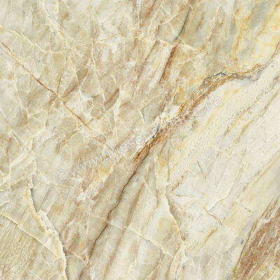  Del Conca Premiere Paradise 60x60 cm Bodenfliese / Wandfliese Matt Eben Naturale G9PM01R | 535620
