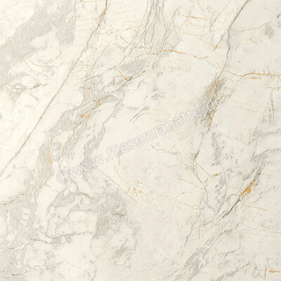 Del Conca Marble Edition Van Gogh White 60x60 cm Bodenfliese / Wandfliese Matt Strukturiert Naturale G9ME10R | 536559