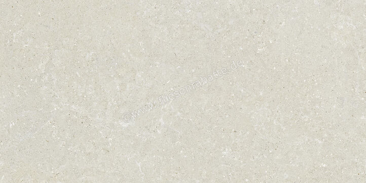  Del Conca Wild2 White 60x120x2 cm Terrassenplatte Matt Eben Naturale SCWD10R | 536772