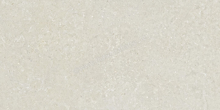  Del Conca Wild2 White 60x120x2 cm Terrassenplatte Matt Eben Naturale SCWD10R | 536775