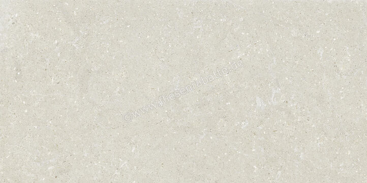 Del Conca Wild2 White 60x120x2 cm Terrassenplatte Matt Eben Naturale SCWD10R | 536787