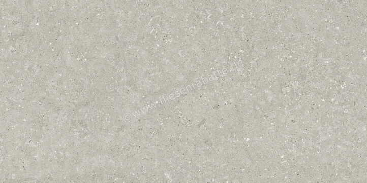  Del Conca Wild2 Grey 60x120x2 cm Terrassenplatte Matt Eben Naturale SCWD05R | 536790