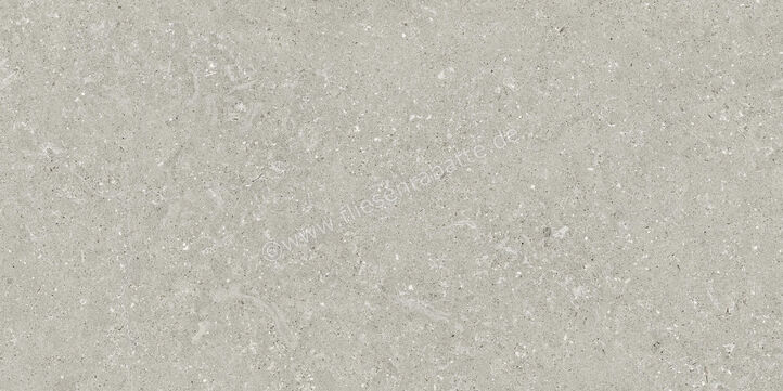  Del Conca Wild2 Grey 60x120x2 cm Terrassenplatte Matt Eben Naturale SCWD05R | 536793