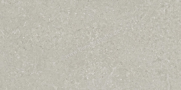  Del Conca Wild2 Grey 60x120x2 cm Terrassenplatte Matt Eben Naturale SCWD05R | 536799