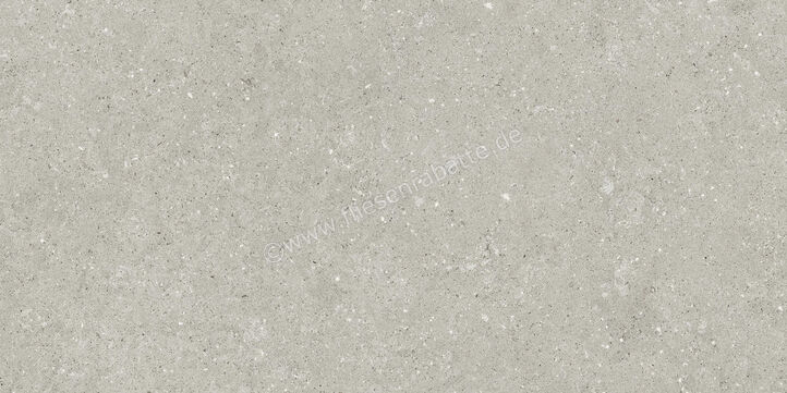  Del Conca Wild2 Grey 60x120x2 cm Terrassenplatte Matt Eben Naturale SCWD05R | 536802