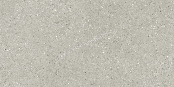  Del Conca Wild2 Grey 60x120x2 cm Terrassenplatte Matt Eben Naturale SCWD05R | 536805
