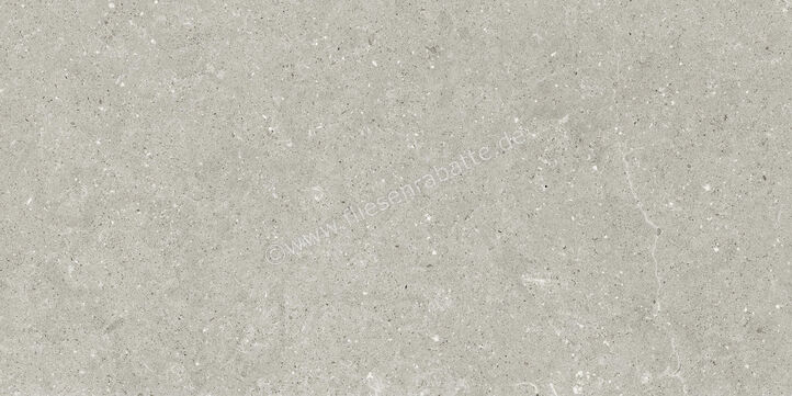  Del Conca Wild2 Grey 60x120x2 cm Terrassenplatte Matt Eben Naturale SCWD05R | 536808