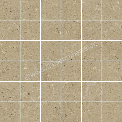  Del Conca Wild Beige 30x30 cm Mosaik Matt Eben Naturale G3WD01MO | 536838