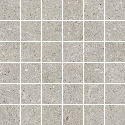  Del Conca Wild Grey 30x30 cm Mosaik Matt Eben Naturale G3WD05MO | 536844