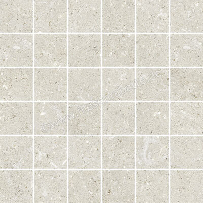  Del Conca Wild White 30x30 cm Mosaik Matt Eben Naturale G3WD10MO | 536850