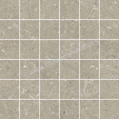  Del Conca Wild Greige 30x30 cm Mosaik Matt Eben Naturale G3WD11MO | 536856