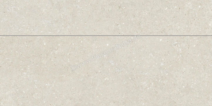  Del Conca Wild White 60x120 cm Wandfliese Universal Matt Eben Naturale GCWD10MO | 536868
