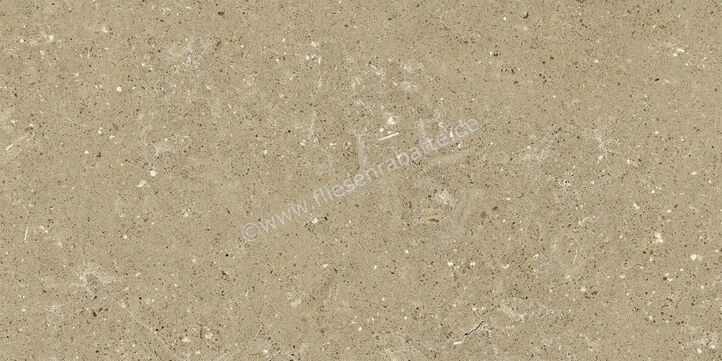  Del Conca Wild Beige 30x60 cm Bodenfliese / Wandfliese Matt Eben Naturale G8WD01R | 536874