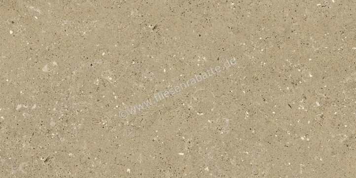 Del Conca Wild Beige 30x60 cm Bodenfliese / Wandfliese Matt Eben Naturale G8WD01R | 536877