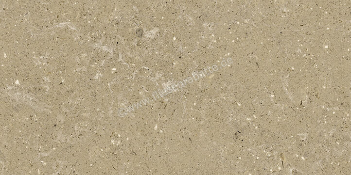  Del Conca Wild Beige 30x60 cm Bodenfliese / Wandfliese Matt Eben Naturale G8WD01R | 536883