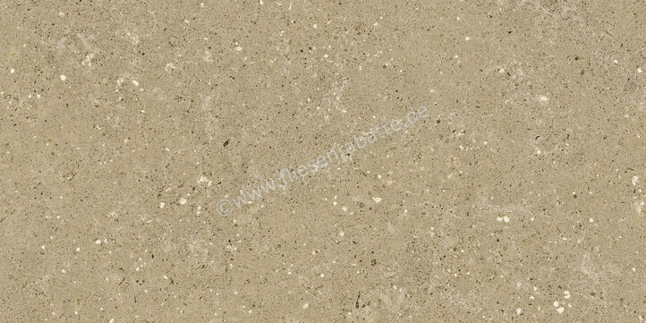  Del Conca Wild Beige 30x60 cm Bodenfliese / Wandfliese Matt Eben Naturale G8WD01R | 536889