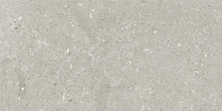  Del Conca Wild Grey 30x60 cm Bodenfliese / Wandfliese Matt Eben Naturale G8WD05R | 536895