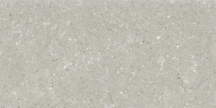  Del Conca Wild Grey 30x60 cm Bodenfliese / Wandfliese Matt Eben Naturale G8WD05R | 536898