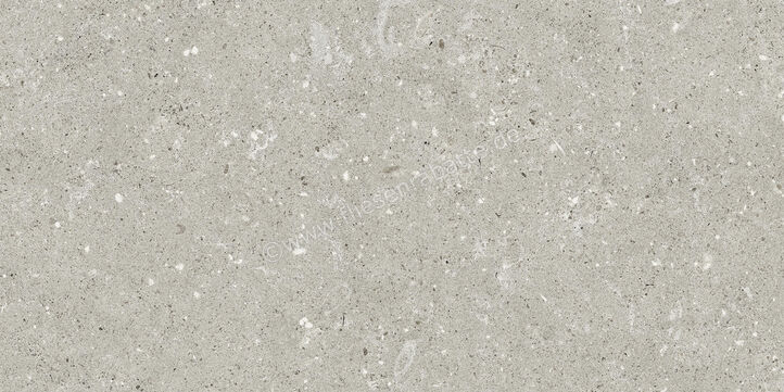  Del Conca Wild Grey 30x60 cm Bodenfliese / Wandfliese Matt Eben Naturale G8WD05R | 536904