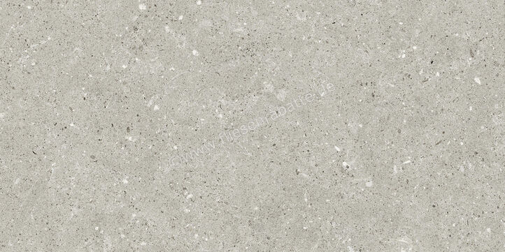  Del Conca Wild Grey 30x60 cm Bodenfliese / Wandfliese Matt Eben Naturale G8WD05R | 536907