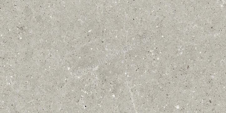  Del Conca Wild Grey 30x60 cm Bodenfliese / Wandfliese Matt Eben Naturale G8WD05R | 536910