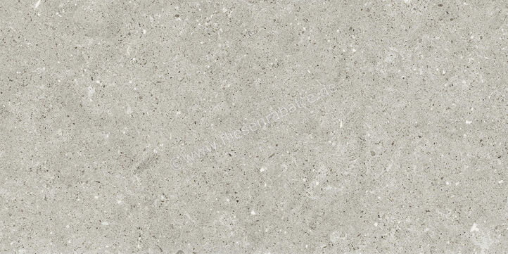  Del Conca Wild Grey 30x60 cm Bodenfliese / Wandfliese Matt Eben Naturale G8WD05R | 536913