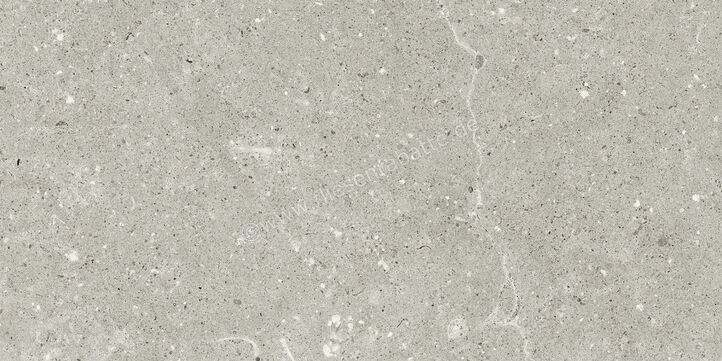  Del Conca Wild Grey 30x60 cm Bodenfliese / Wandfliese Matt Eben Naturale G8WD05R | 536916