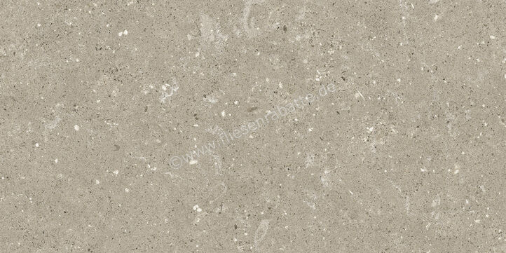  Del Conca Wild Greige 30x60 cm Bodenfliese / Wandfliese Matt Eben Naturale G8WD11R | 536952