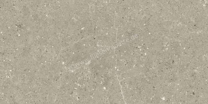  Del Conca Wild Greige 30x60 cm Bodenfliese / Wandfliese Matt Eben Naturale G8WD11R | 536958