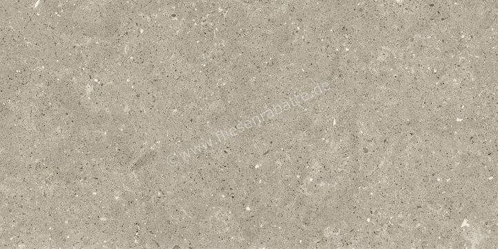  Del Conca Wild Greige 30x60 cm Bodenfliese / Wandfliese Matt Eben Naturale G8WD11R | 536961