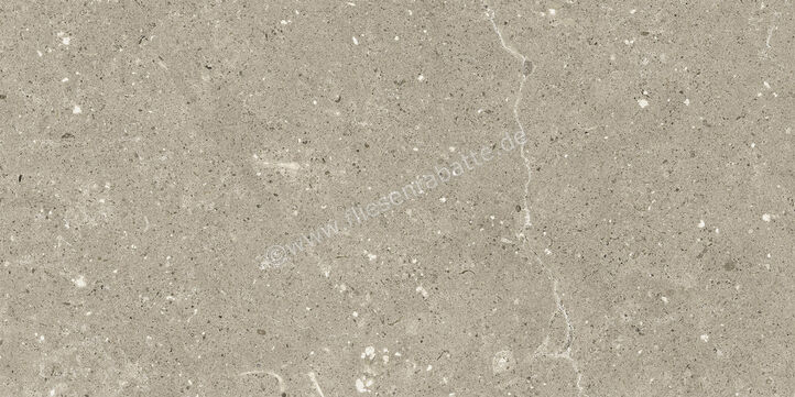  Del Conca Wild Greige 30x60 cm Bodenfliese / Wandfliese Matt Eben Naturale G8WD11R | 536964
