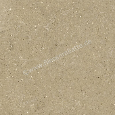  Del Conca Wild Beige 60x60 cm Bodenfliese / Wandfliese Matt Eben Naturale G9WD01R | 536967