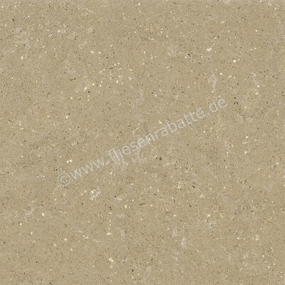  Del Conca Wild Beige 60x60 cm Bodenfliese / Wandfliese Matt Eben Naturale G9WD01R | 536970