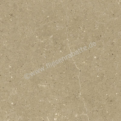  Del Conca Wild Beige 60x60 cm Bodenfliese / Wandfliese Matt Eben Naturale G9WD01R | 536976