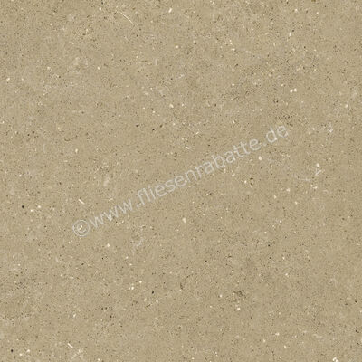  Del Conca Wild Beige 60x60 cm Bodenfliese / Wandfliese Matt Eben Naturale G9WD01R | 536979