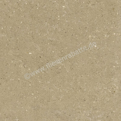 Del Conca Wild Beige 60x60 cm Bodenfliese / Wandfliese Matt Eben Naturale G9WD01R | 536982