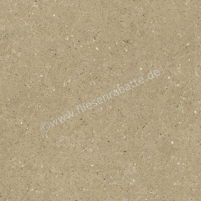  Del Conca Wild Beige 60x60 cm Bodenfliese / Wandfliese Matt Eben Naturale G9WD01R | 536985