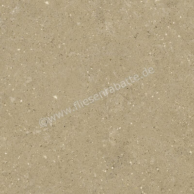 Del Conca Wild Beige 60x60 cm Bodenfliese / Wandfliese Matt Eben Naturale G9WD01R | 536988