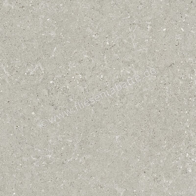  Del Conca Wild Grey 60x60 cm Bodenfliese / Wandfliese Matt Eben Naturale G9WD05R | 536991
