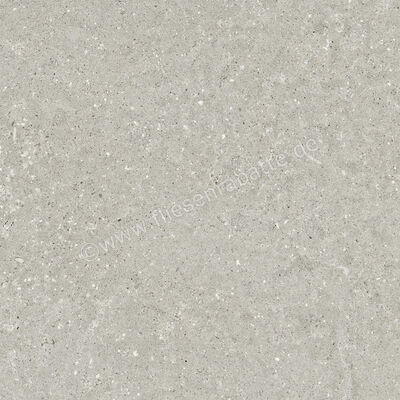  Del Conca Wild Grey 60x60 cm Bodenfliese / Wandfliese Matt Eben Naturale G9WD05R | 536994