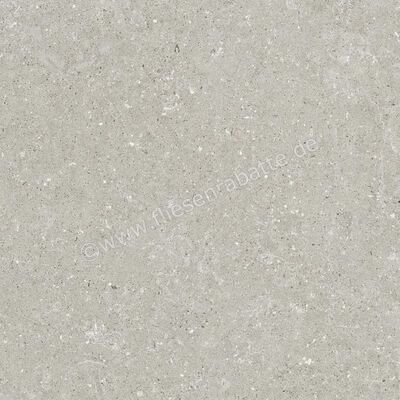  Del Conca Wild Grey 60x60 cm Bodenfliese / Wandfliese Matt Eben Naturale G9WD05R | 537000