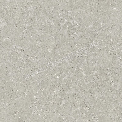  Del Conca Wild Grey 60x60 cm Bodenfliese / Wandfliese Matt Eben Naturale G9WD05R | 537003