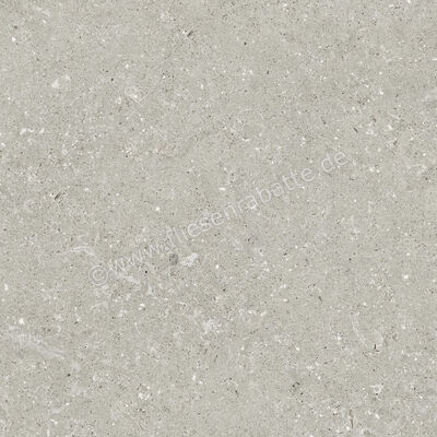  Del Conca Wild Grey 60x60 cm Bodenfliese / Wandfliese Matt Eben Naturale G9WD05R | 537006