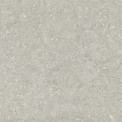  Del Conca Wild Grey 60x60 cm Bodenfliese / Wandfliese Matt Eben Naturale G9WD05R | 537009