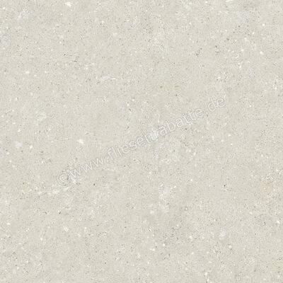  Del Conca Wild White 60x60 cm Bodenfliese / Wandfliese Matt Eben Naturale G9WD10R | 537024