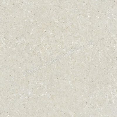  Del Conca Wild White 60x60 cm Bodenfliese / Wandfliese Matt Eben Naturale G9WD10R | 537027