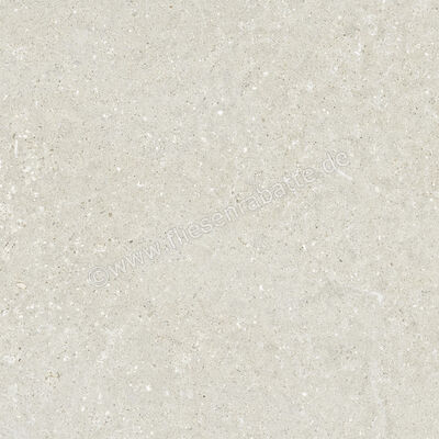  Del Conca Wild White 60x60 cm Bodenfliese / Wandfliese Matt Eben Naturale G9WD10R | 537030