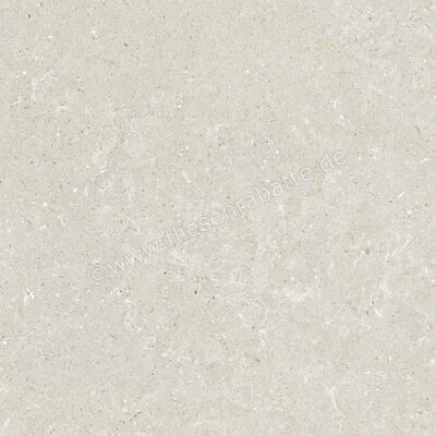  Del Conca Wild White 60x60 cm Bodenfliese / Wandfliese Matt Eben Naturale G9WD10R | 537033