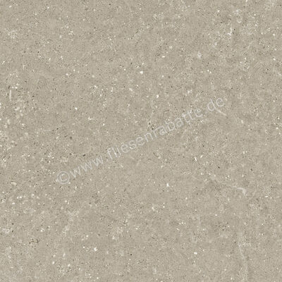  Del Conca Wild Greige 60x60 cm Bodenfliese / Wandfliese Matt Eben Naturale G9WD11R | 537039